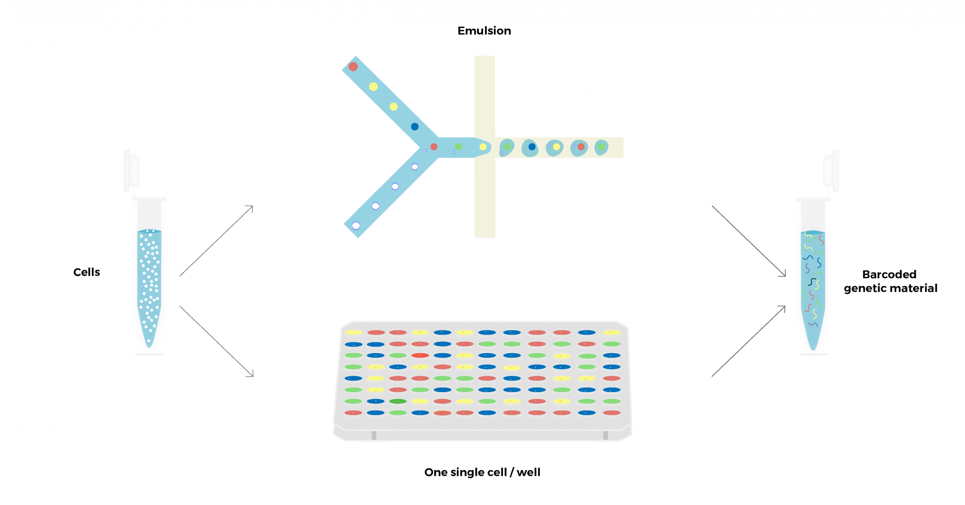 Single-cell sequencing technology