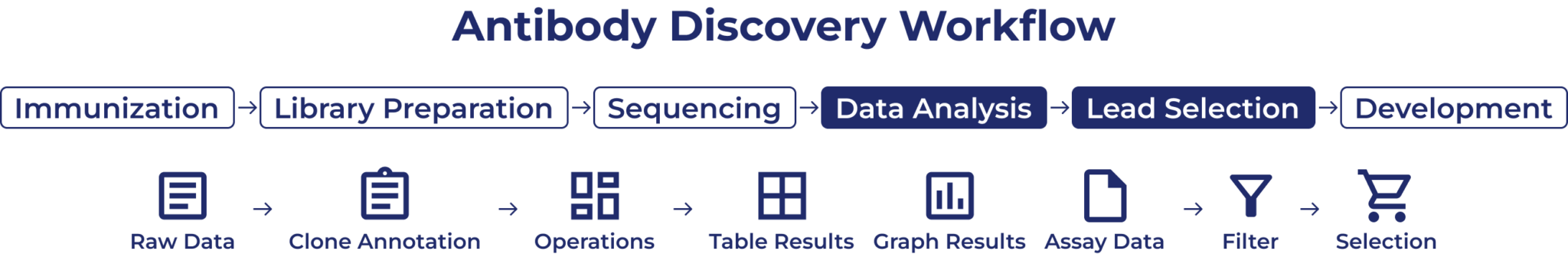 Antibody discovery workflow