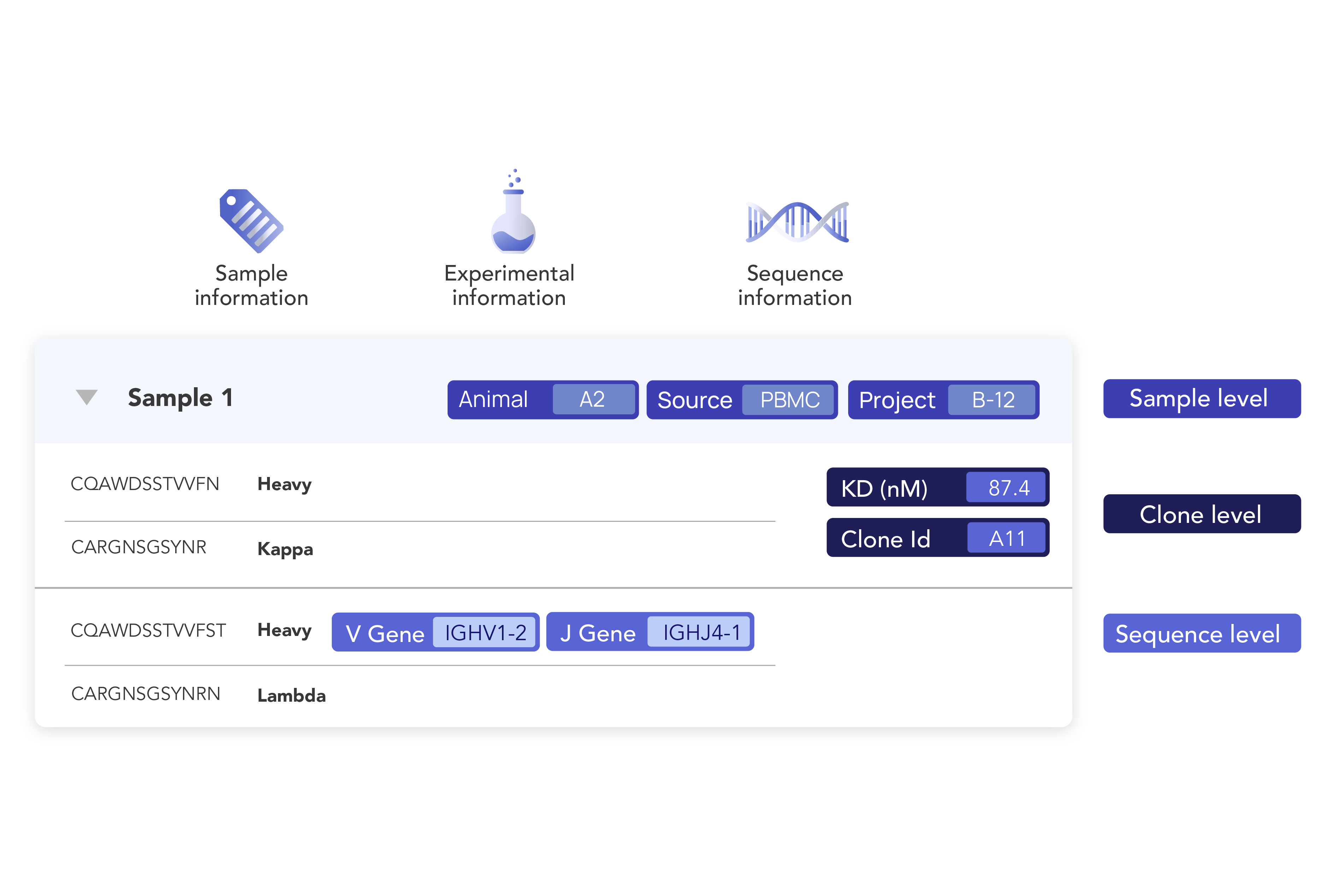 Easily structure and consolidate all your biologics metadata and experimental results to ensure accuracy, organization-wide standardization, and readiness for analysis, visualization, and AI integration